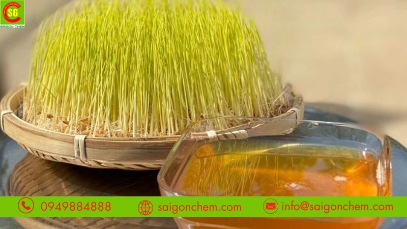 Để mạch nha bắp bảo quản nơi khô ráo