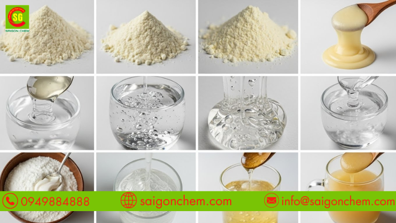 Vai tr&ograve; của chất ổn định E415 trong việc duy tr&igrave; cấu tr&uacute;c kem