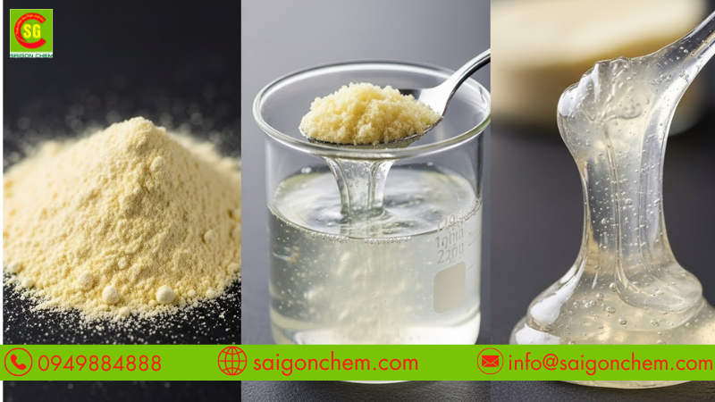Ứng dụng Xanthan Gum trong nhiều dòng bánh không chứa gluten
