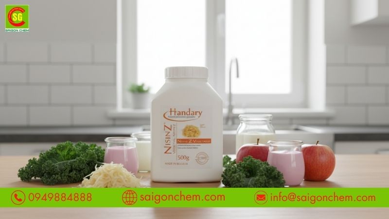 Cơ chế ức chế vi sinh của Nisin E234 trong thực phẩm