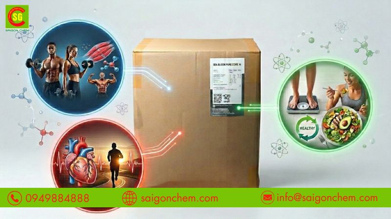Bột l&ograve;ng trắng hỗ trợ ph&aacute;t triển cơ bắp v&agrave; bổ sung dinh dưỡng