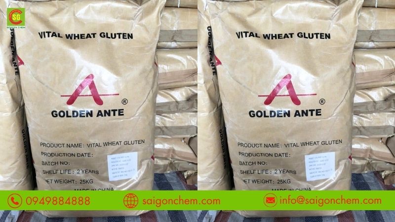 Bột mì căn Wheat Gluten dạng bột mịn, giàu protein từ lúa mì.